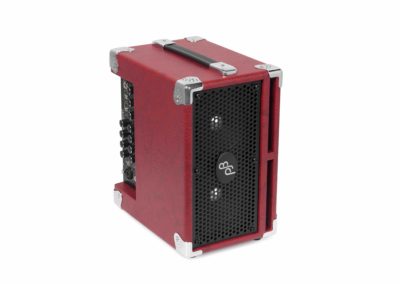 P: BG-110 Bass Combo Amp “Bass CUB 2” | Phil Jones Bass