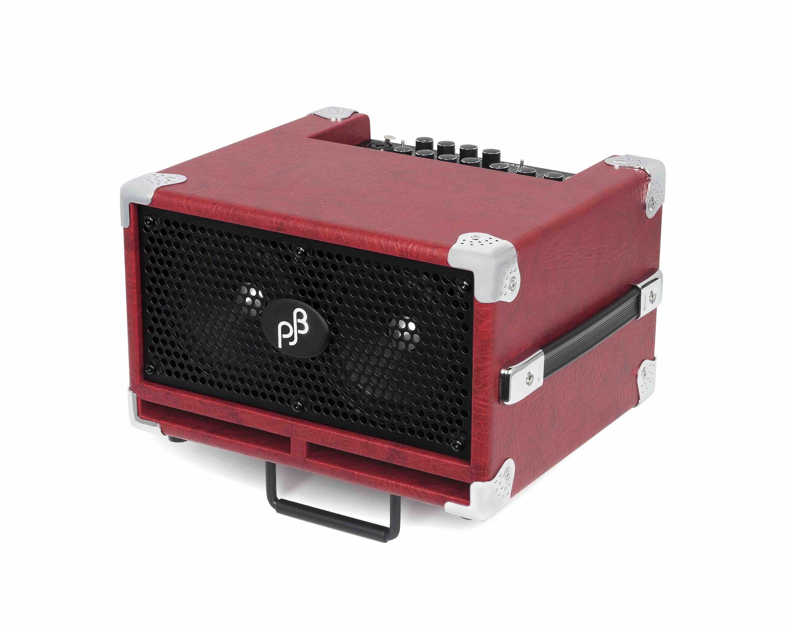 P: BG-110 Bass Combo Amp “Bass CUB 2” | Phil Jones Bass
