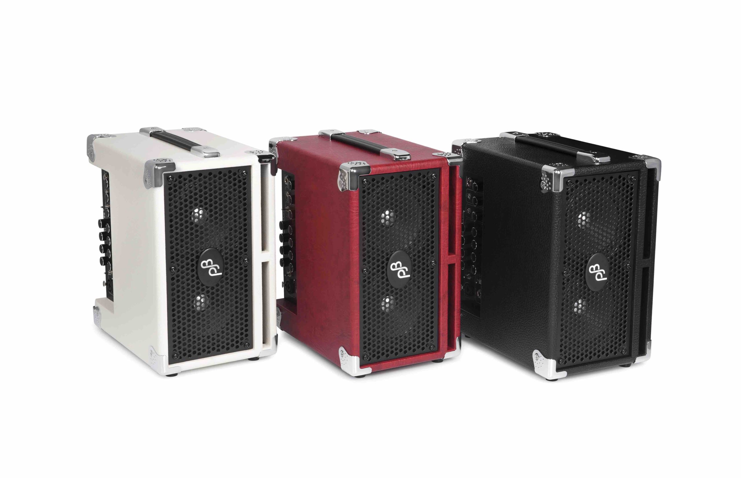 P: BG-110 Bass Combo Amp “Bass CUB 2” | Phil Jones Bass